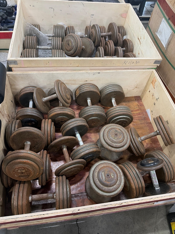 Dumbbells - Steel