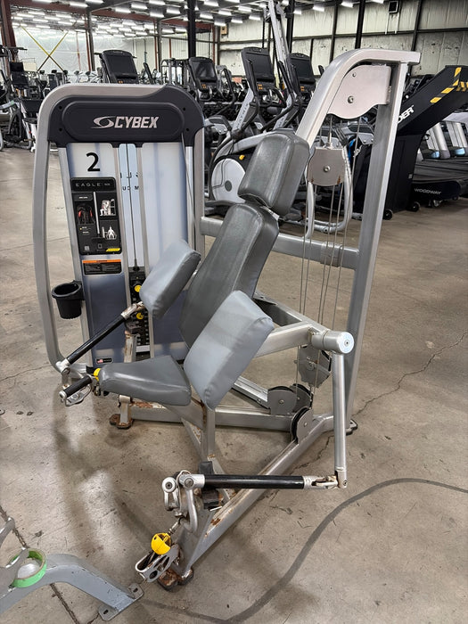 Cybex Arm Curl - Eagle